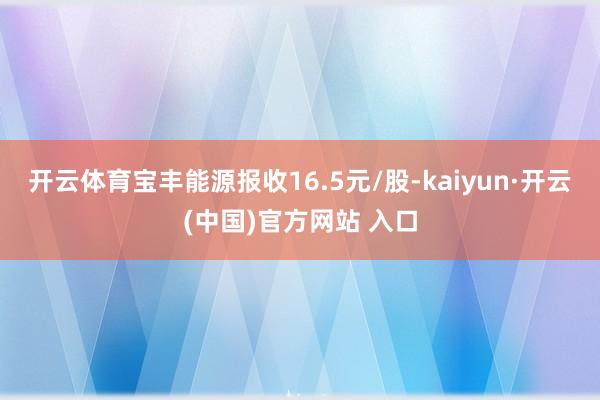 开云体育宝丰能源报收16.5元/股-kaiyun·开云(中国)官方网站 入口