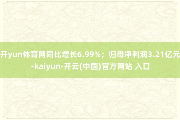 开yun体育网同比增长6.99%；归母净利润3.21亿元-kaiyun·开云(中国)官方网站 入口