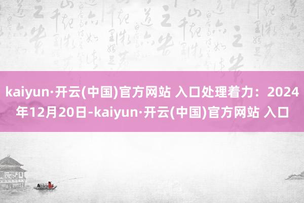kaiyun·开云(中国)官方网站 入口处理着力：2024年12月20日-kaiyun·开云(中国)官方网站 入口