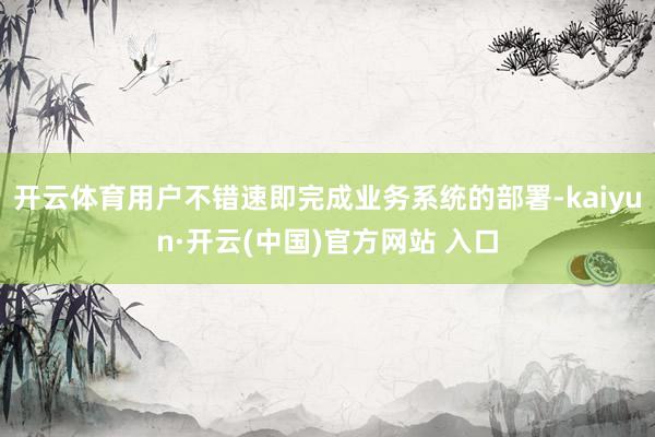 开云体育用户不错速即完成业务系统的部署-kaiyun·开云(中国)官方网站 入口