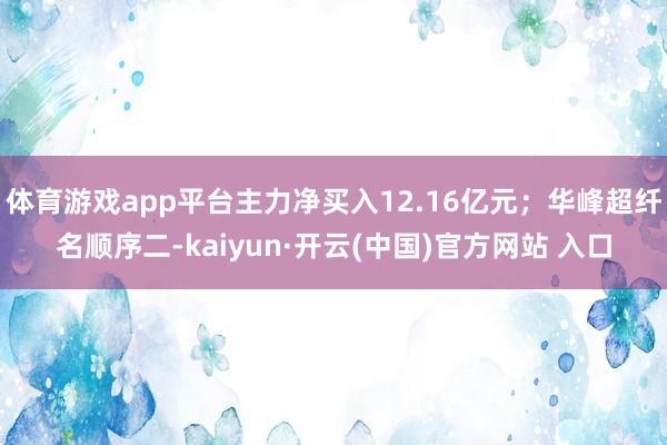 体育游戏app平台主力净买入12.16亿元；华峰超纤名顺序二-kaiyun·开云(中国)官方网站 入口