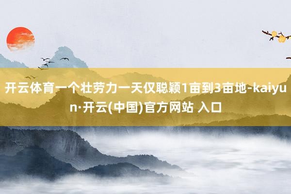 开云体育一个壮劳力一天仅聪颖1亩到3亩地-kaiyun·开云(中国)官方网站 入口
